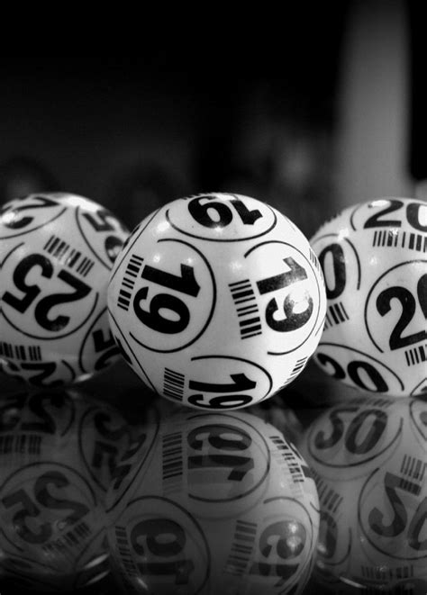 Everything You Need To Know About Bodog’s Online .